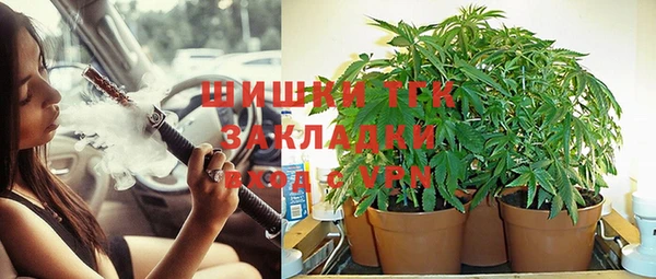 эйфоретик Мегион